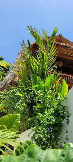 Nest Uluwatu - Eco Boutique Villa Exterior foto